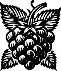 Blackberry Fruit icon 15