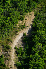 Top view of the path in the bushes on the mountainside, Tbilisi, Georgia