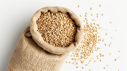 Place a small sack of sesame seeds centrally on a white background