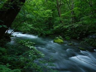 Obraz premium 奥入瀬渓流 青森県