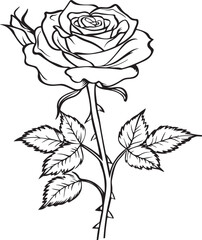 a drawing of black and white rose flower outline
