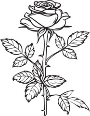 a drawing of black and white rose flower outline