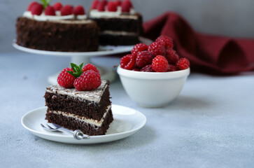 chocolate cake with fresh raspberries for dessert