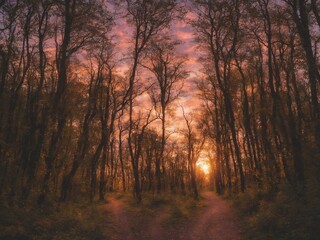 Obraz premium a forest path, full of lights, with a beautiful sky at sunset