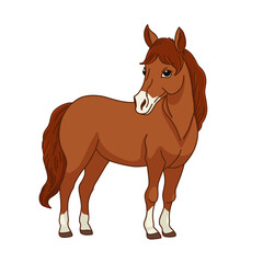 Illustration of a brown horse with white fur legs, animal illustration.