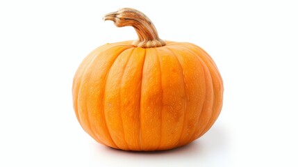 Obraz premium Single Orange Pumpkin Isolated on White Background
