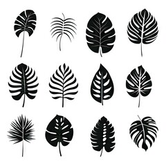 Monstera Leaf Icon Collection, Exotic Leaves Silhouettes, Tropical Plant Symbols, Simple Monstera