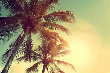 Oasis Palm Trees. Vintage Beach Background with Tropical Palm Trees and Shining Sun