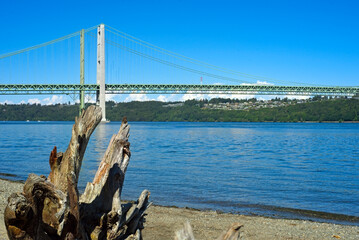 The Tacoma Narrows Bridge is seen across the Tacoma Narrows channel with driftwood on the beach in foreground; focus is on the driftwood.