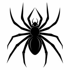 Halloween spider vector,spider isolated on white background