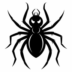 Halloween spider vector,spider isolated on white background