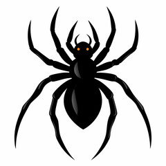 Halloween spider vector,spider isolated on white background
