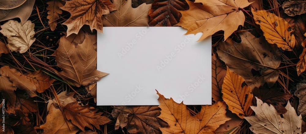 Poster top view of a fall themed arrangement featuring blank paper and dried leaves on a table providing am