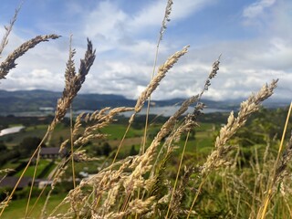 Nature, passion, and creativity for all the magnificent wonders of the world, only from Colombia. Nature and emotions revolving around various journeys, gathering experiences