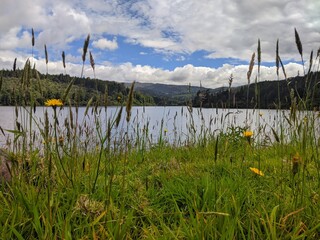 Nature, passion, and creativity for all the magnificent wonders of the world, only from Colombia. Nature and emotions revolving around various journeys, gathering experiences