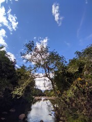 Nature, passion, and creativity for all the magnificent wonders of the world, only from Colombia. Nature and emotions revolving around various journeys, gathering experiences