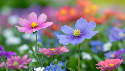 Fototapeta premium Wild flowers of clover and butterfly in a meadow in nature in the rays of sunlight in summer in the spring close-up of a macro. A picturesque colorful artistic image with a soft focus