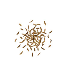 Dry Cumin Seed Icon, Cummin Heap, Caraway Seeds Symbol, Indian Spices Pile, Fennel Kernels, Cumin Icons on White Background, Vector Illustration