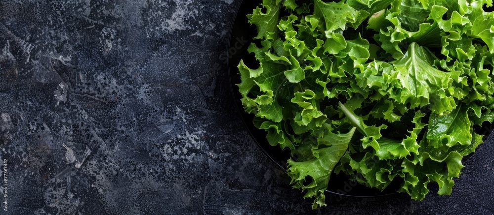 Aufkleber top view of a fresh oak leaf salad on a dark backdrop with ample copy space image