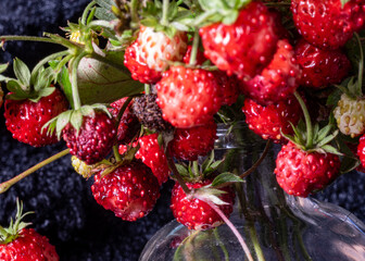 bright, red and delicious wild strawberries on a dark background, close-up view