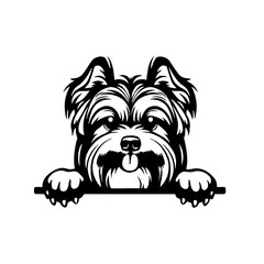 Yorkshire Terrier Smiling Peeking Dog Svg, Cute Puppy Head, Canine Pet Silky Pedigree, Studio Portrait Svg, Drawing Art Svg, Svg files for Cricut