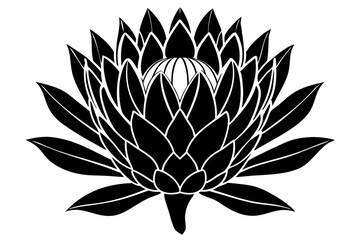 Protea flower silhouette vector illustration