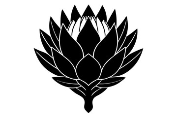 Protea flower silhouette vector illustration