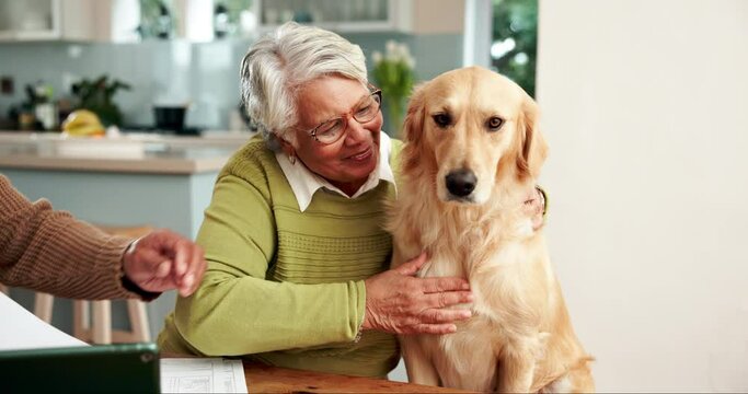Old couple, dog and stroke for love in home, paperwork and support for tax or asset management. People, pet and affection for animal in kitchen, documents and together for insurance or planning