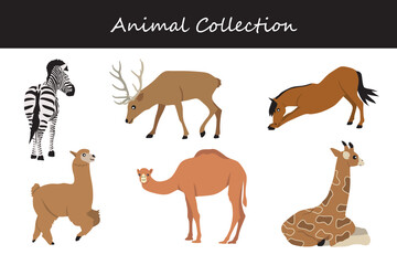 Fototapeta premium Animals collection. Flat style vector illustration.