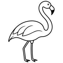 illustration of a flamingo