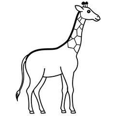 giraffe cartoon isolated on white