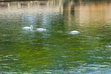 Strasbourg, France - Buildings and people in the city