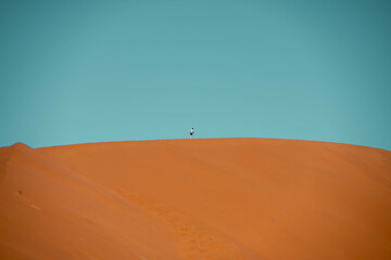 sand dunes in the desert, sossusvlei, namibia