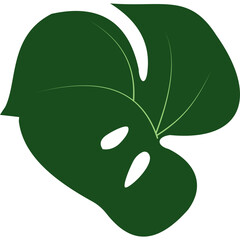 Monstera Tropical Leaves
