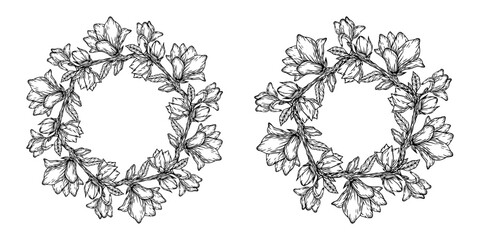 Luxury botanical wedding frame elements. Set of rounded shapes, magnolia flowers, magnolia leaves and branches. Elegant foliage design for wedding, cards, invitations, congratulations