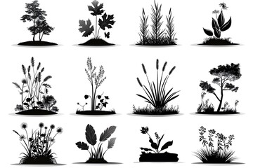 Collection of black and white botanical silhouettes featuring various plants and grasses.
