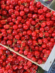 Processed with VSCO with ss1pro preset