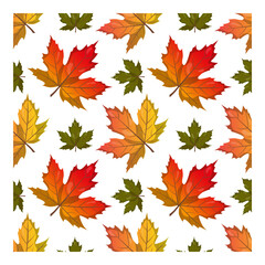 Fototapeta premium Maple leaves. Autumn seamless vector pattern for fabric, wallpaper and wrapping paper