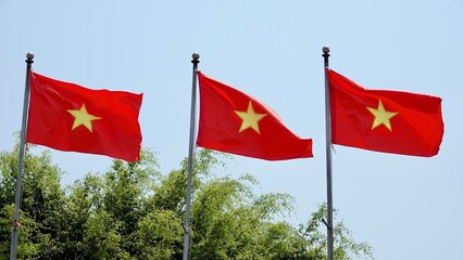 Vietnamesische Fahne, Staatssymbol