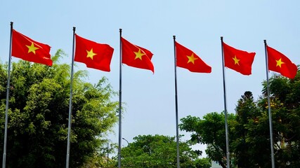 Vietnamesische Fahne, Staatssymbol