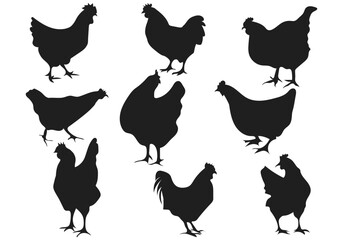 set of chicken silhouettes