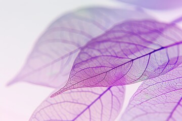 Vintage purple light abstract art Leaves striped