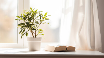 Potted plant and book on white table against blurred window with sun rays