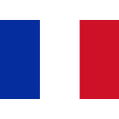 Flag of France. France flag. Eiffel tower