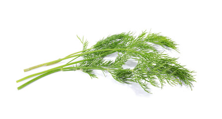 Sprigs of fresh green dill isolated on white