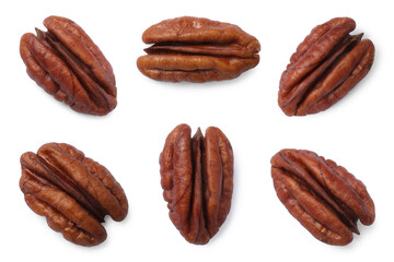 Many pecan nuts isolated on white, set