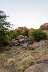 The Prescott Dells at sunset