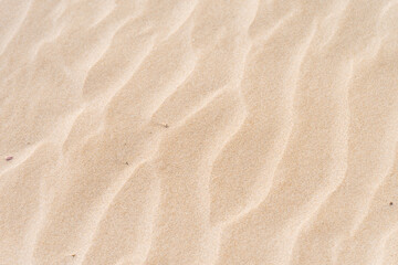 beach sand texture