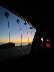 Palm trees and Sunset