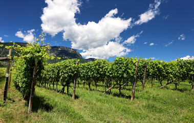 Naklejka premium Landschaft